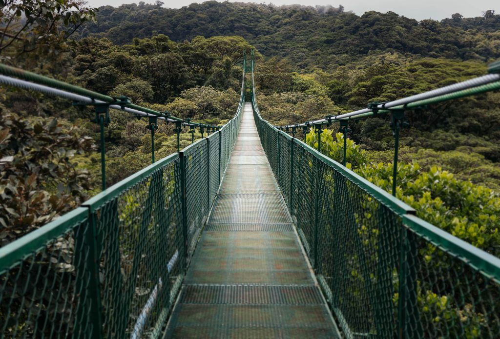 Rainforest of Costa Rica, charity conservation projects