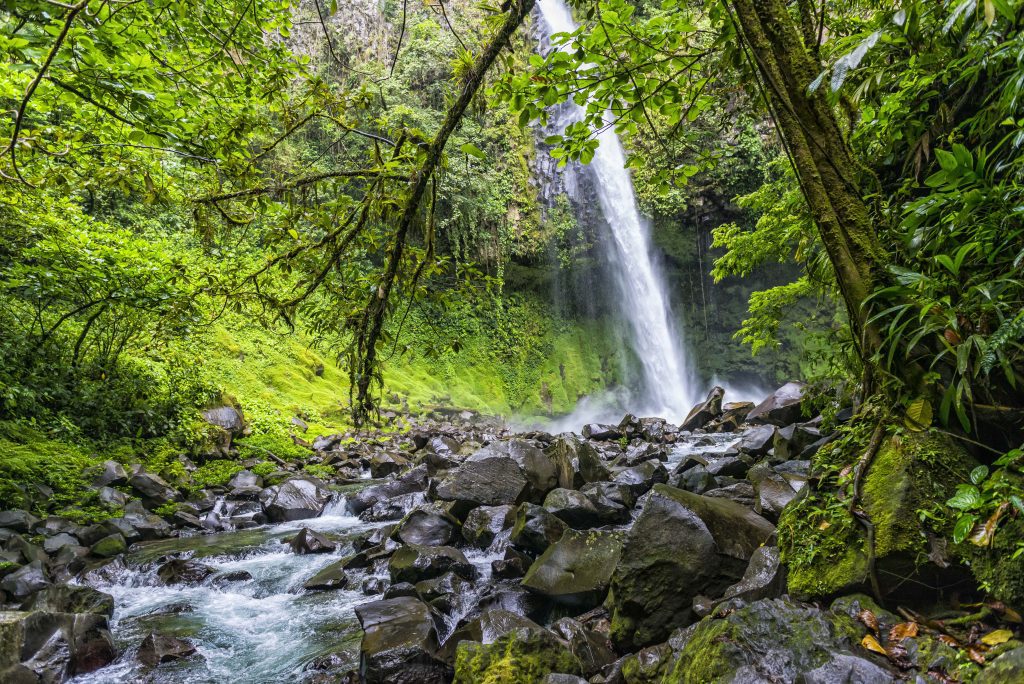 Waterval in de jungle van Costa Rica, waarom kiezen voor CRS Tours