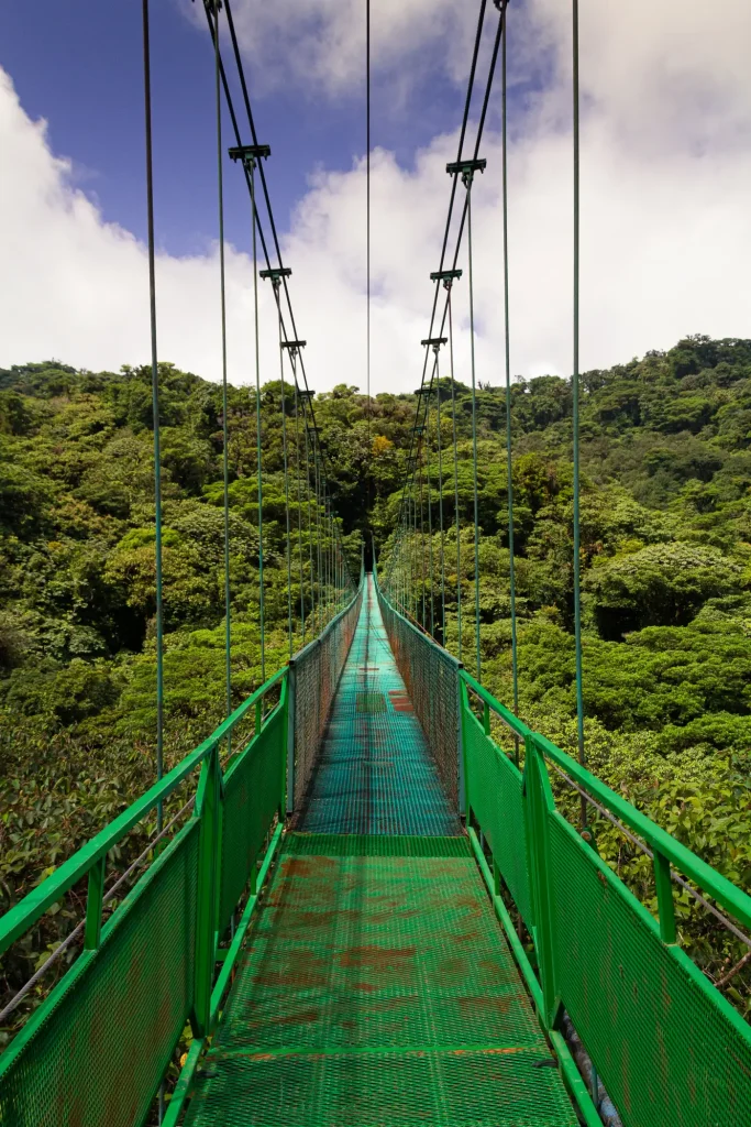 Ponte sospeso nella foresta nebulosa di Monteverde