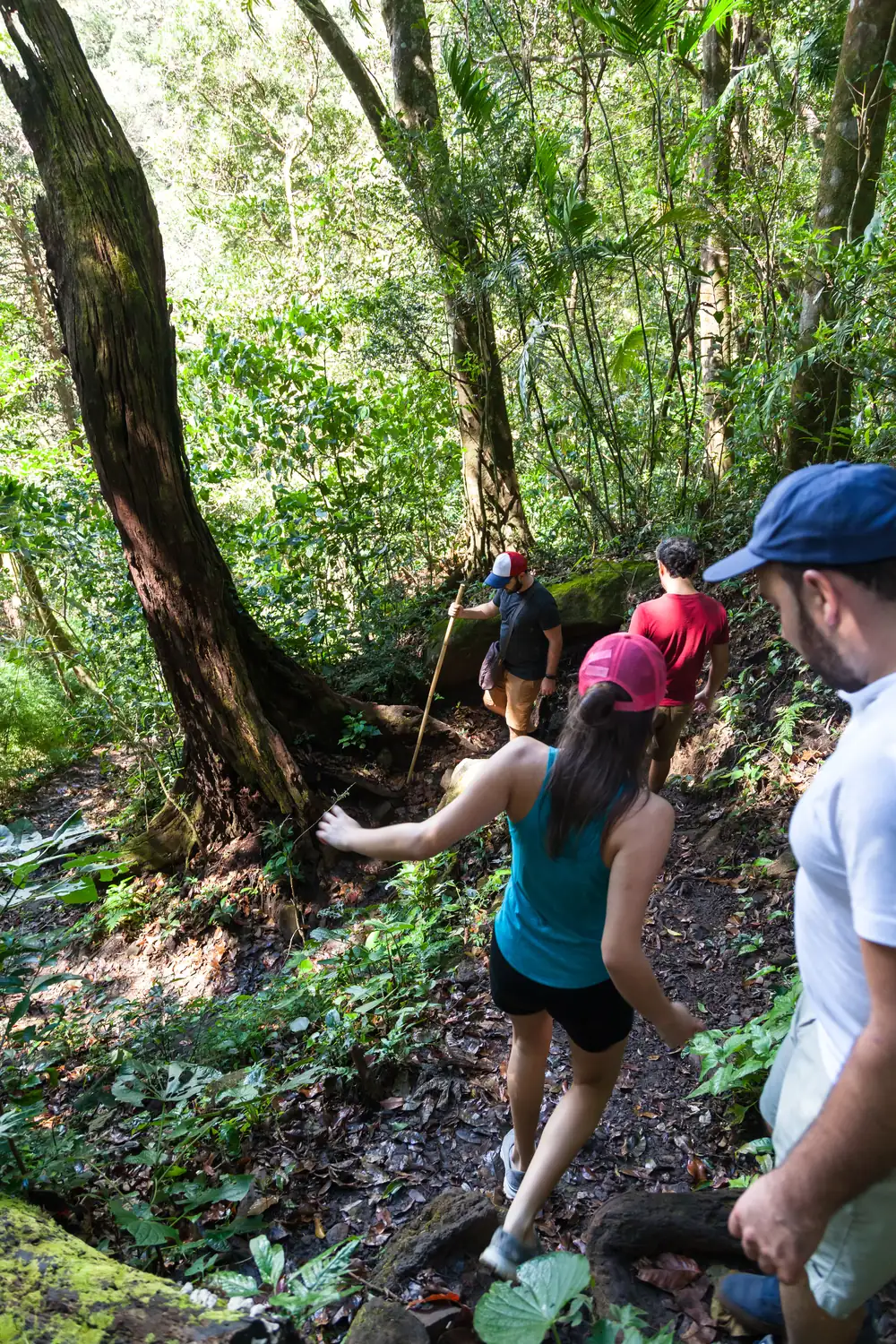 Hikers on a forest trail at Rincón de la Vieja, Costa Rica