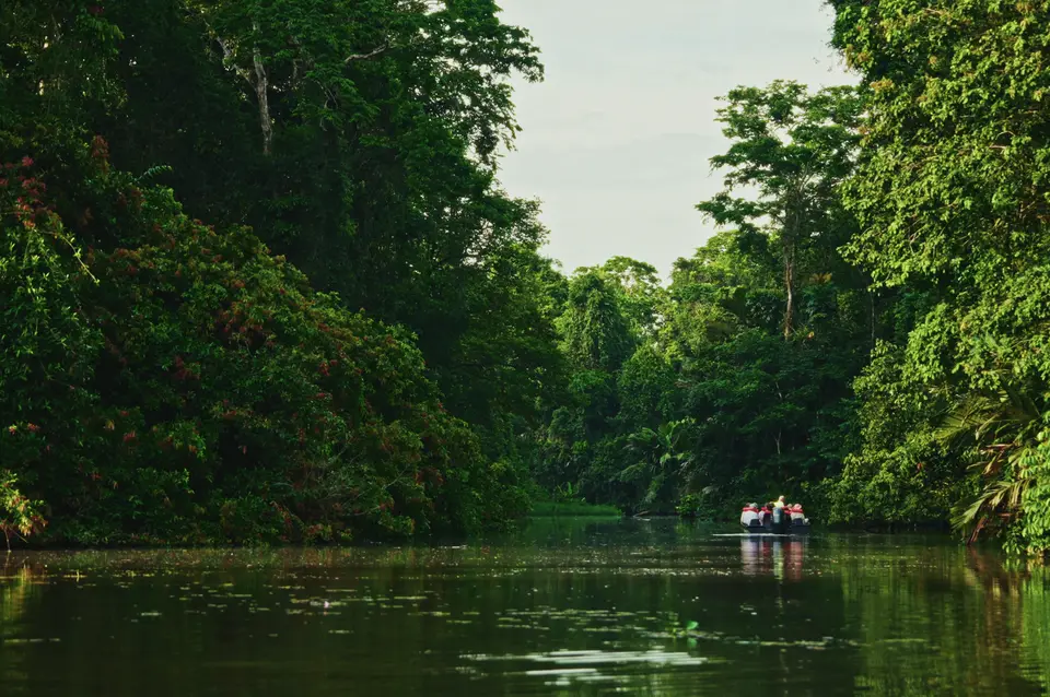 Canales de Tortuguero, Caribe de Costa Rica