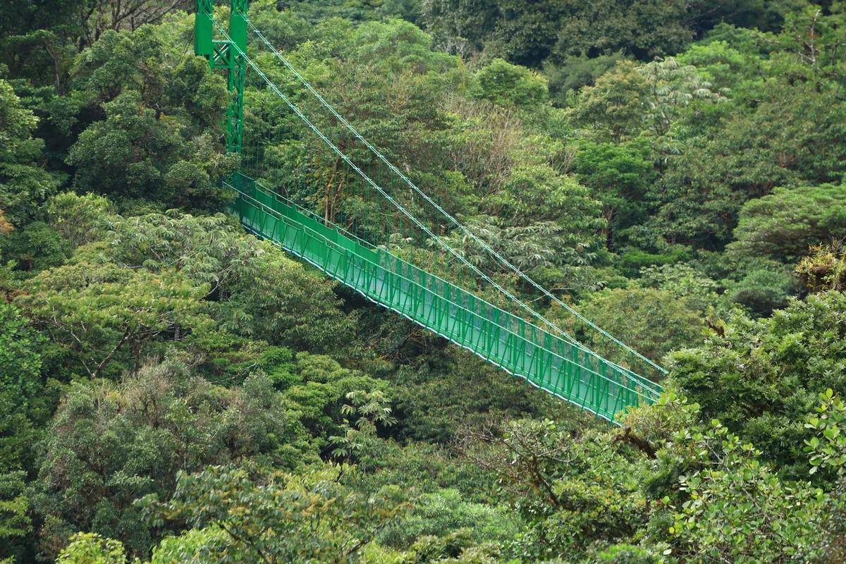 Green hanging bridge over the cloud forest canopy in Monteverde, Costa Rica