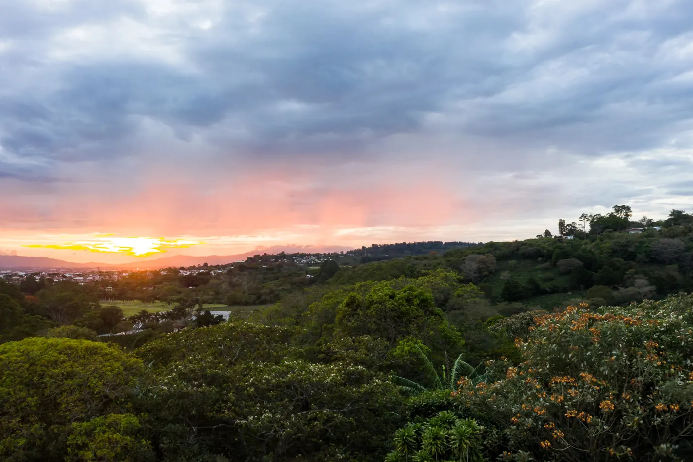 Sunset over the coffee plantations of the Central Valley