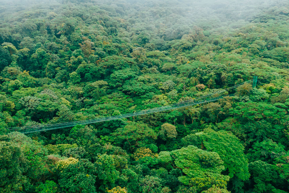 Selvatura Park hanging bridges, Monteverde