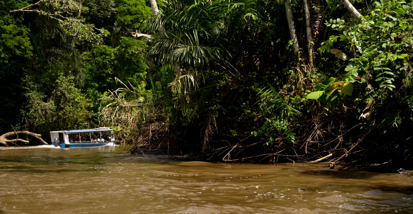 Tortuguero canals