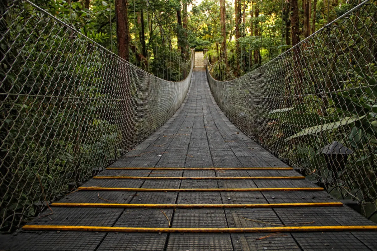 Suspension bridge through Costa Rican cloud forest