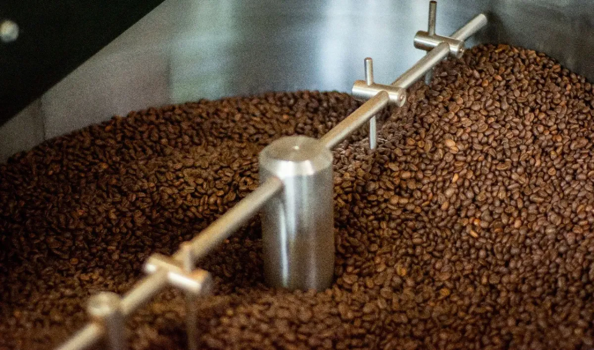 Coffee and chocolate tour on a farm in Costa Rica