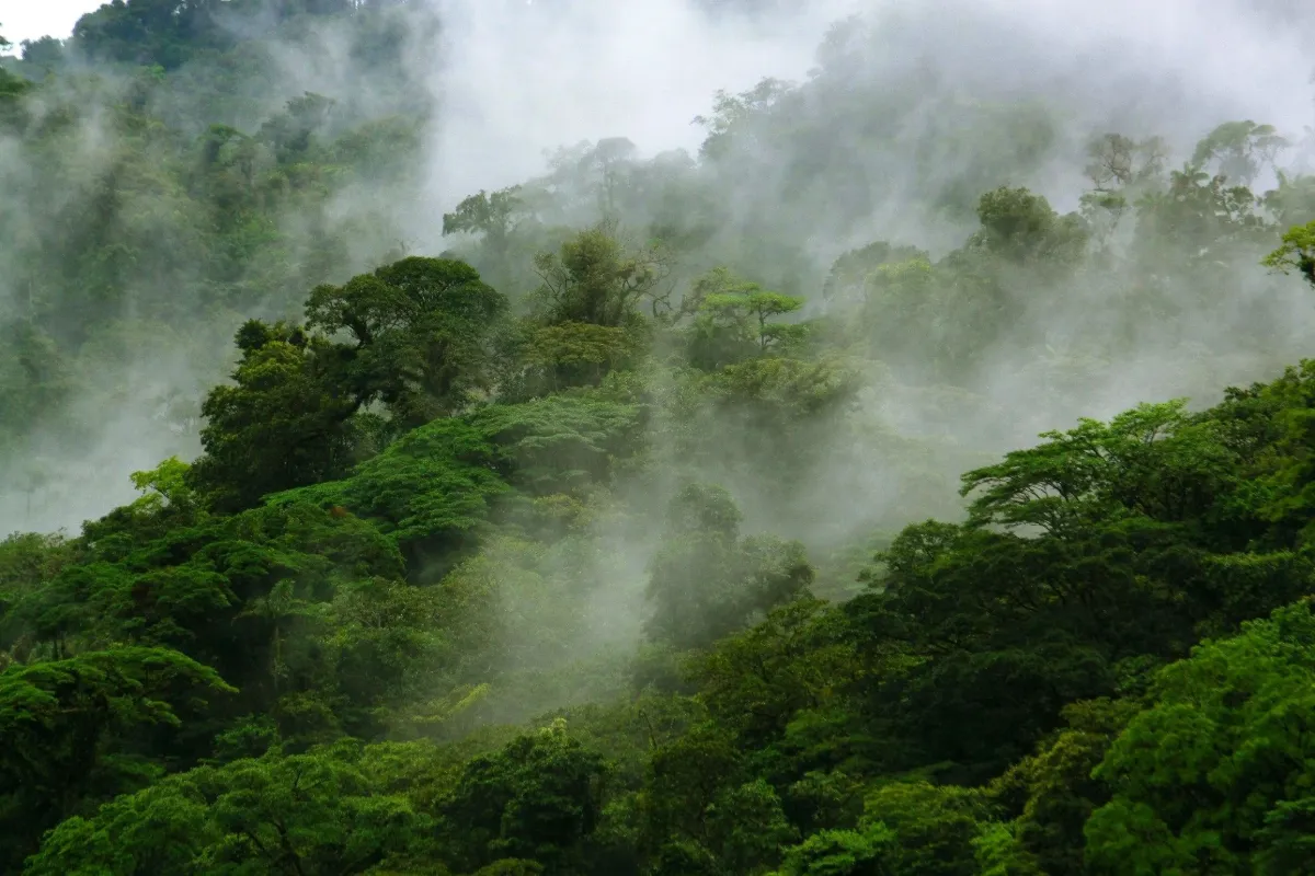 Misty rainforest-covered mountains in Costa Rica