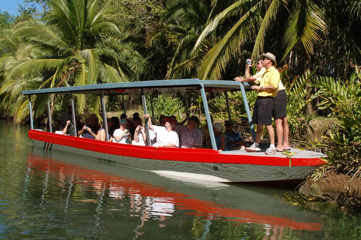 A boat tour through the jungle canals of Tortuguero, Costa Rica