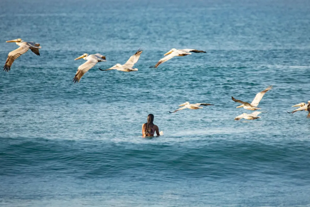 Spiaggia tranquilla del Pacifico in Costa Rica per i giorni di pausa tra le immersioni