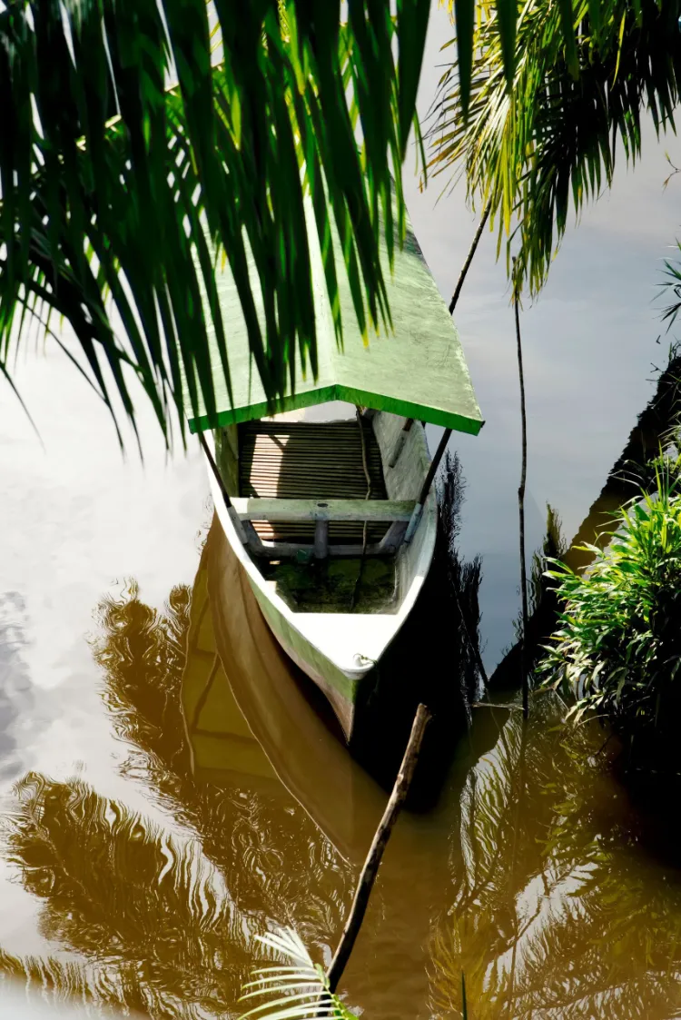 Barca su un canale nella giungla del Parco Nazionale di Tortuguero