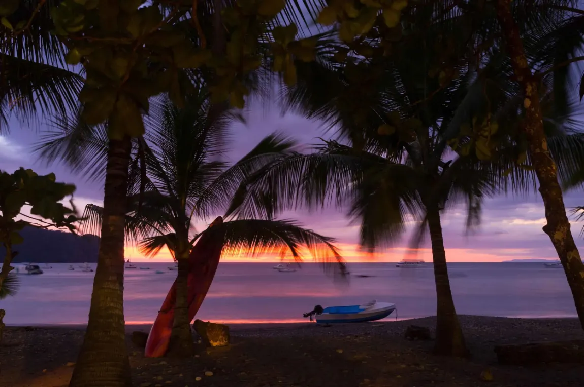 Palme in controluce al tramonto sulla costa del Costa Rica