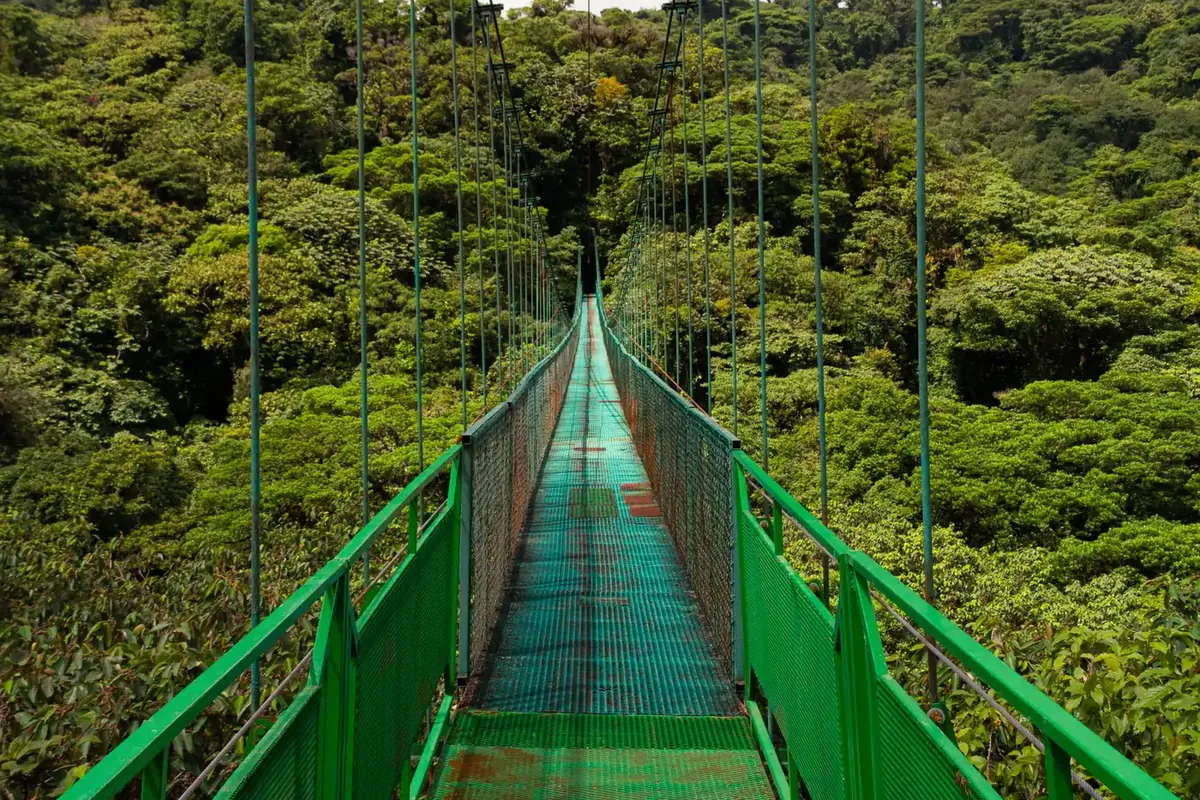 Hängebrücke im Nebelwald von Monteverde, Costa Rica