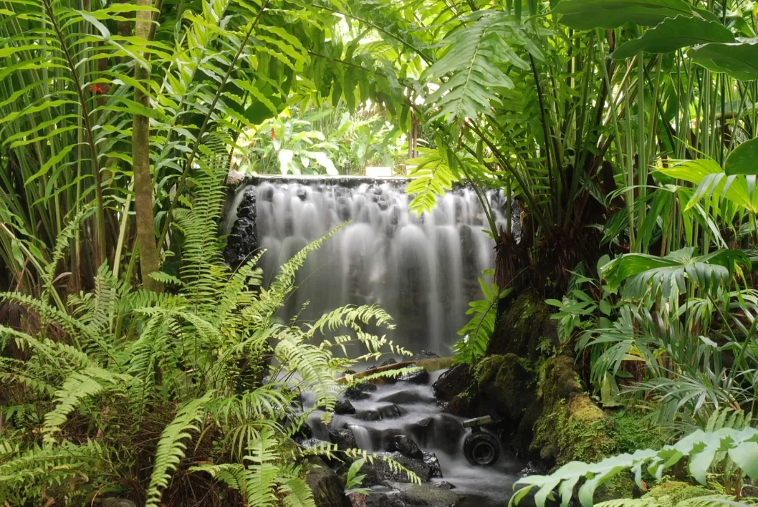Warm thermal river winding through the rainforest
