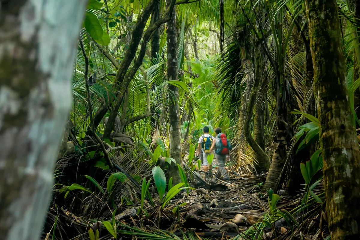 Escursionisti su un sentiero nella foresta pluviale del Costa Rica