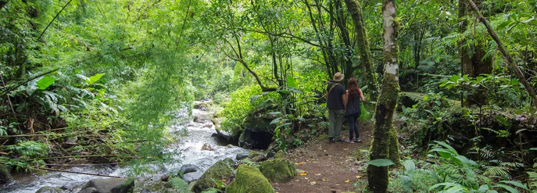 River running through the cloud forest at Bajos del Toro