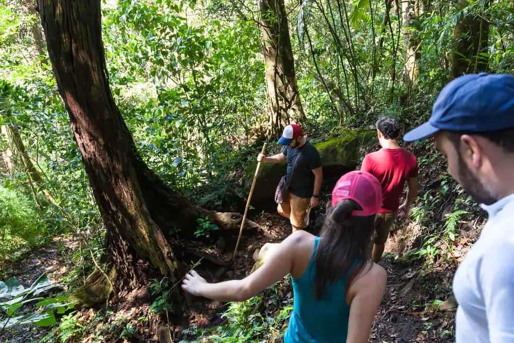 Wandergruppe auf einem Waldpfad im Nationalpark Rincón de la Vieja, Costa Rica